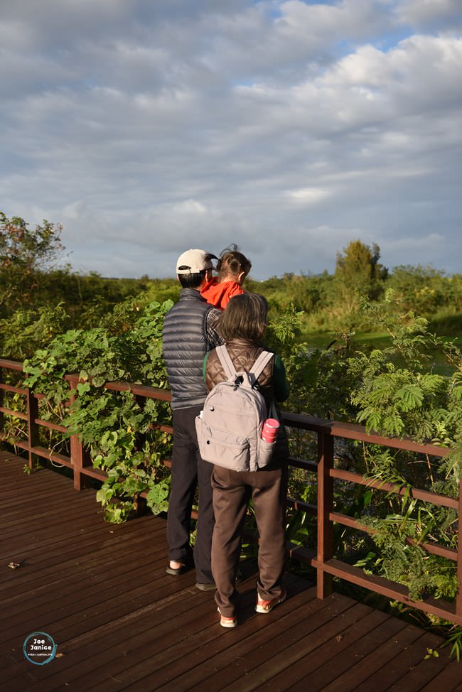 大溪景點 大溪親子景點 大溪旅遊 桃園旅遊 桃園景點 山豬湖生態親水園區