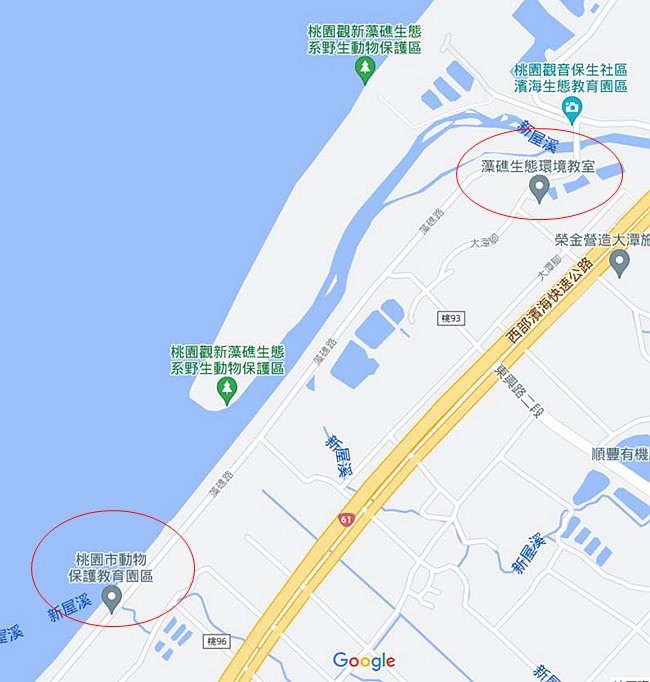 觀新藻礁 藻礁生態環境教室 桃園新屋海邊 桃園親子景點 桃園景點 桃園觀新藻礁生態系野生動物保護區