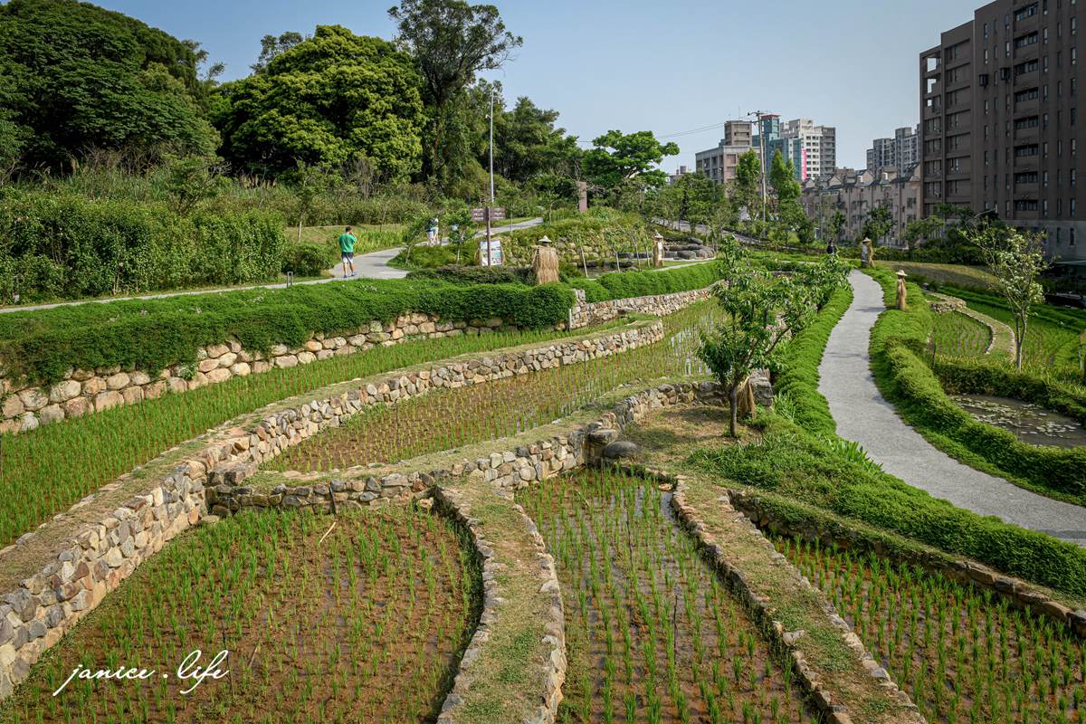 桃園親子景點 親子景點 親子公園 大有梯田生態公園 生態梯田 極限體能王 磨石子溜滑梯 潔妮食旅生活 大有梯田生態公園停車