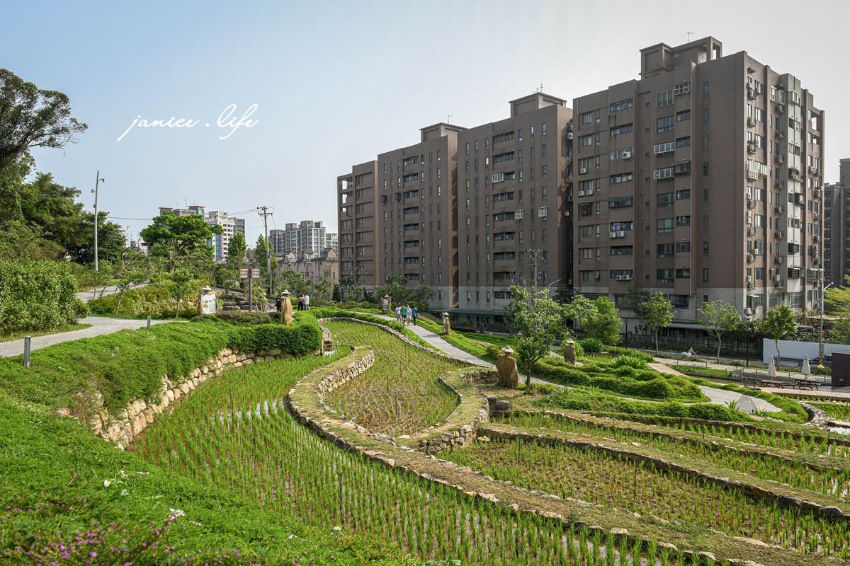 桃園親子景點 親子景點 親子公園 大有梯田生態公園 生態梯田 極限體能王 磨石子溜滑梯 潔妮食旅生活 大有梯田生態公園停車