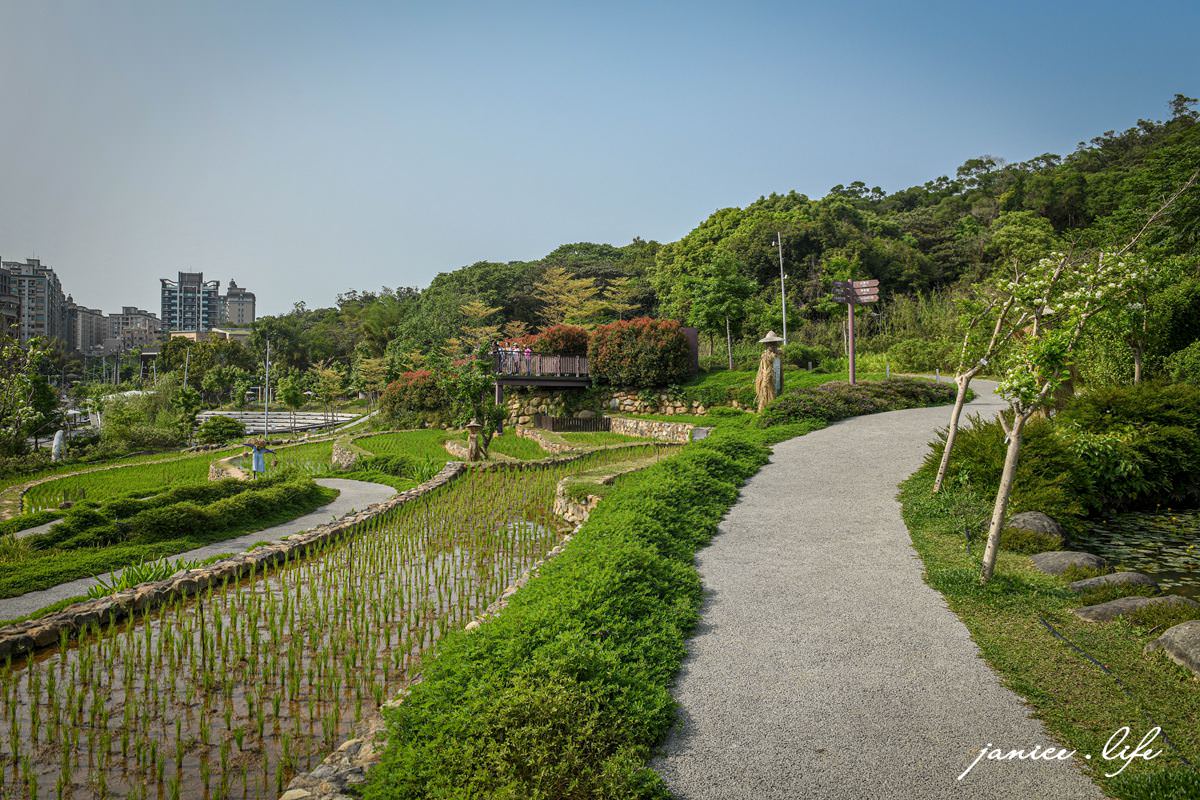 桃園親子景點 親子景點 親子公園 大有梯田生態公園 生態梯田 極限體能王 磨石子溜滑梯 潔妮食旅生活 大有梯田生態公園停車