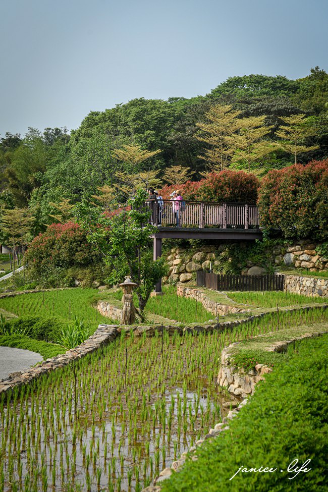桃園親子景點 親子景點 親子公園 大有梯田生態公園 生態梯田 極限體能王 磨石子溜滑梯 潔妮食旅生活 大有梯田生態公園停車