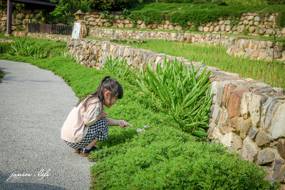 桃園親子景點 親子景點 親子公園 大有梯田生態公園 生態梯田 極限體能王 磨石子溜滑梯 潔妮食旅生活 大有梯田生態公園停車