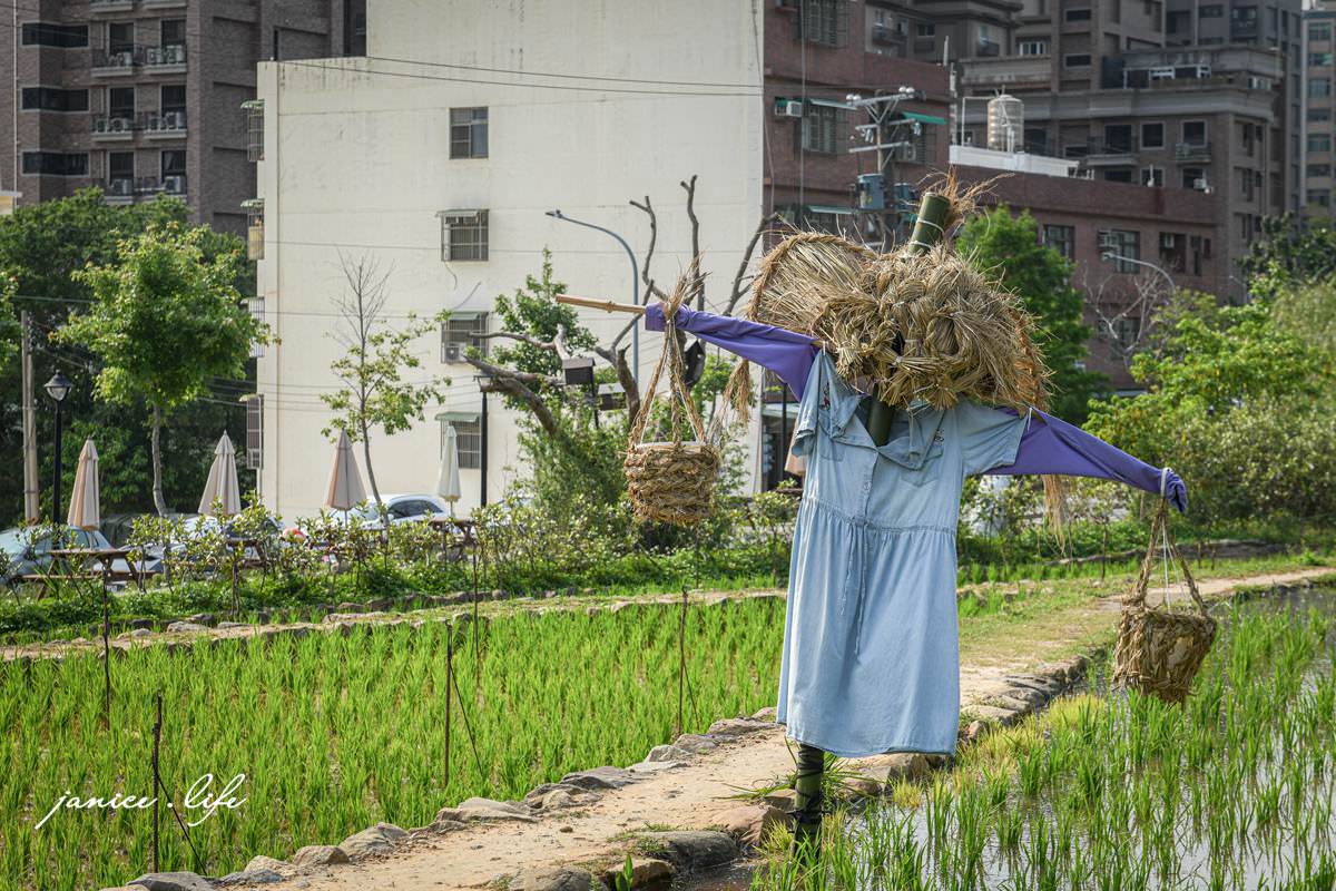 桃園親子景點 親子景點 親子公園 大有梯田生態公園 生態梯田 極限體能王 磨石子溜滑梯 潔妮食旅生活 大有梯田生態公園停車