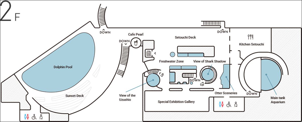 四國香川景點|四國水族館|超震撼巨型水槽.70多種夢幻水景.可愛海豚秀 - 第9張圖 四國自由行 四國景點 日本四國景點 四國水族館 日本四國自駕 四國自由行自駕 潔妮食旅生活 日本自由行 日本旅遊 日本景點 四國水族館門票 四國水族館交通 四國水族館地圖 四國水族館介紹