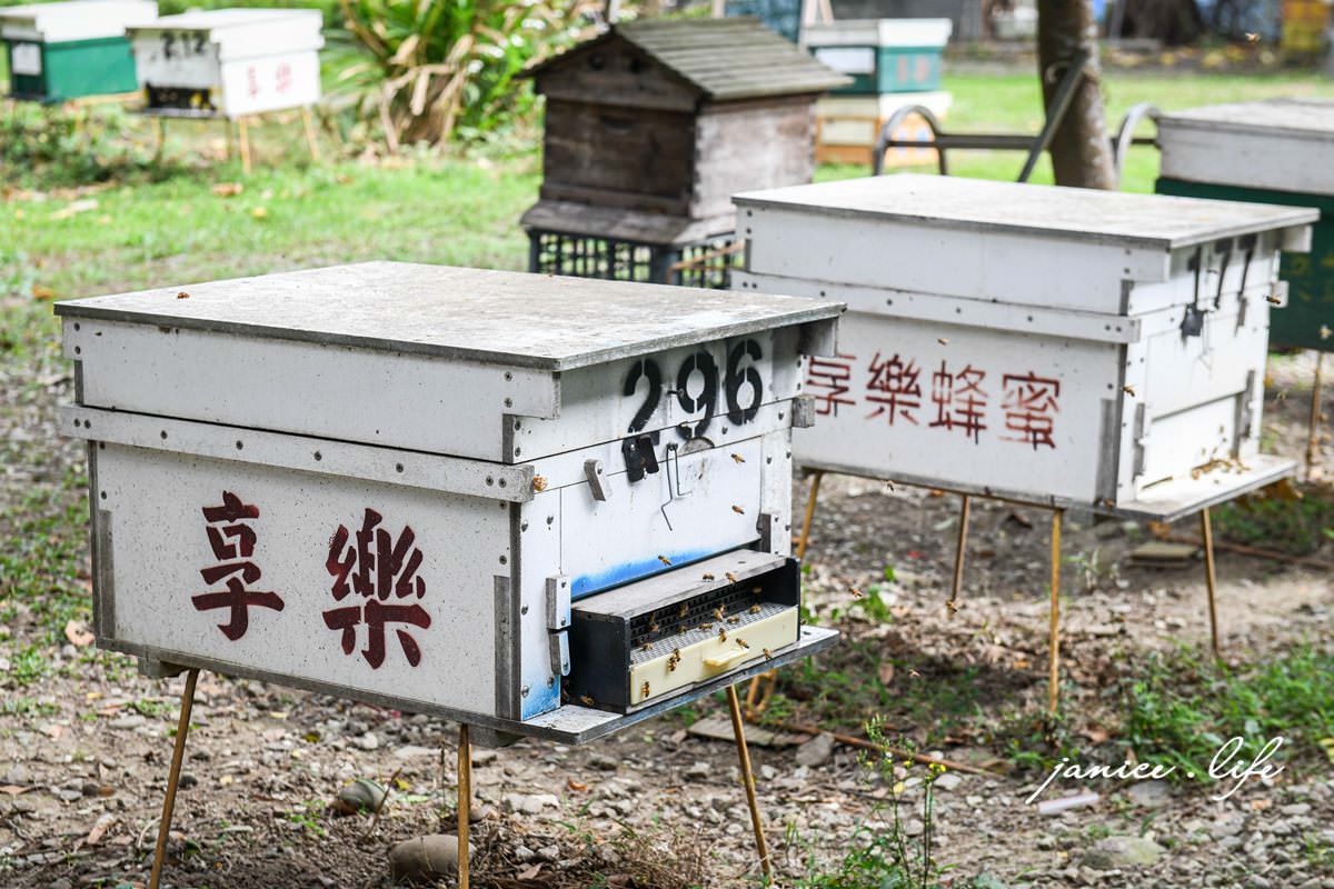 享樂蜂蜜 In Joy With Honey 親子體驗 大溪景點 大溪蜂蜜 蜂蜜推薦 小小蜂農 蜂糧DIY 認識蜜蜂 潔妮食旅生活 享樂蜂蜜停車 