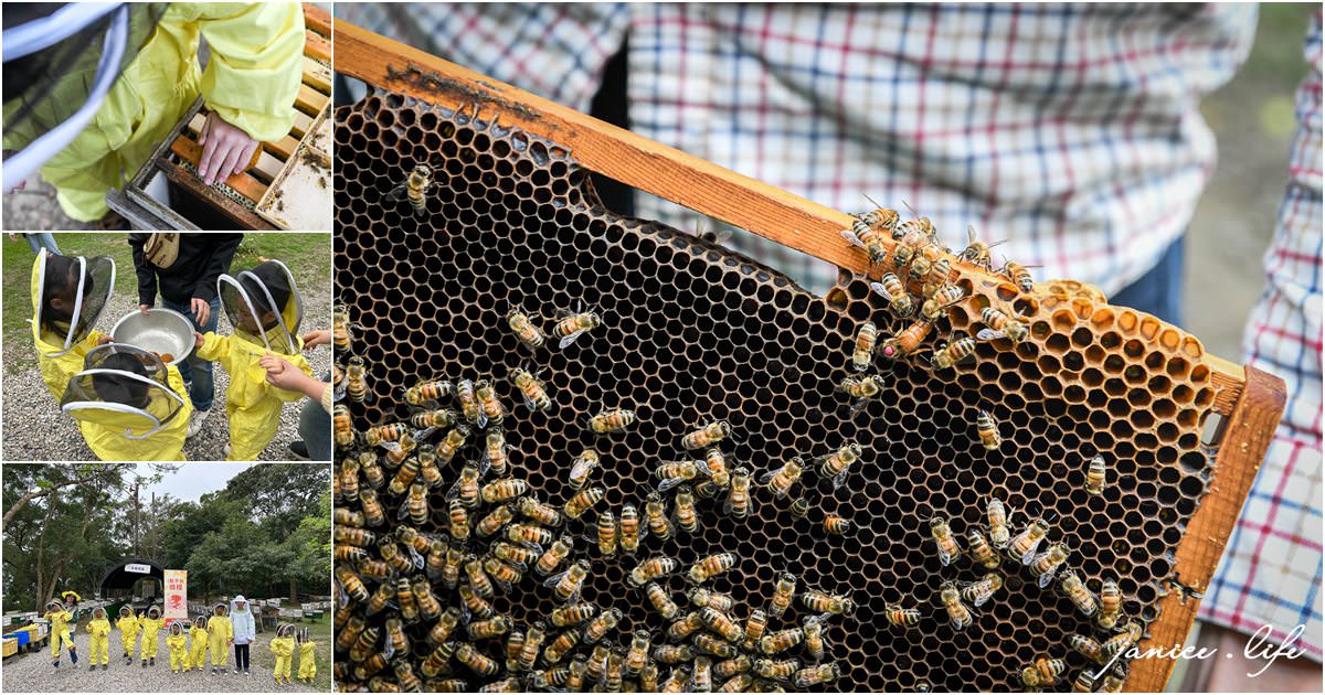 桃園,大溪,享樂蜂蜜 In Joy With Honey,桃園景點,大溪景點,親子景點,親子農場,蜂農實境體驗,蜜蜂點心,蜂農裝體驗,餵食蜜蜂,蜂蜜,伴手禮