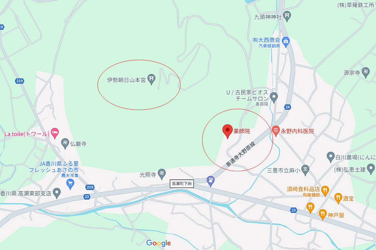 四國香川景點|藥師院|金黃璀璨的大銀杏樹|香川縣保存樹木 - 第2張圖 四國香川景點 香川銀杏 香川縣保存樹木 藥師院 藥師院銀杏 香川県三豊市高瀬町下麻1283 四國旅行 四國自由行 四國自駕旅行 潔妮食旅生活