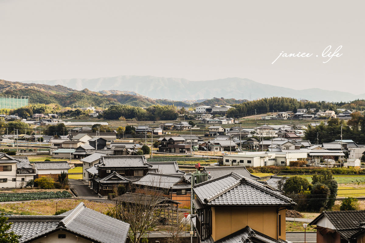 四國香川景點 香川銀杏 香川縣保存樹木 藥師院 藥師院銀杏 香川県三豊市高瀬町下麻1283 四國旅行 四國自由行 四國自駕旅行 潔妮食旅生活