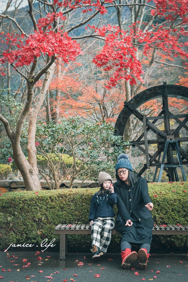 四國德島景點 德島賞楓 祖谷蕎麥麵 紅葉亭 四國自由行 四國景點 四國自駕 日本自由行 日本景點 潔妮食旅生活