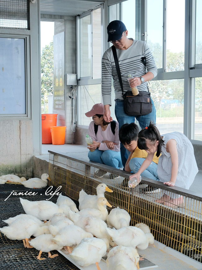 宜蘭景點 宜蘭親子景點 甲鳥園 宜蘭礁溪 礁溪景點 礁溪旅遊 潔妮食旅生活 宜蘭景點推薦 礁溪景點推薦 親子景點推薦 甲鳥園門票 甲鳥園交通 甲鳥園停車