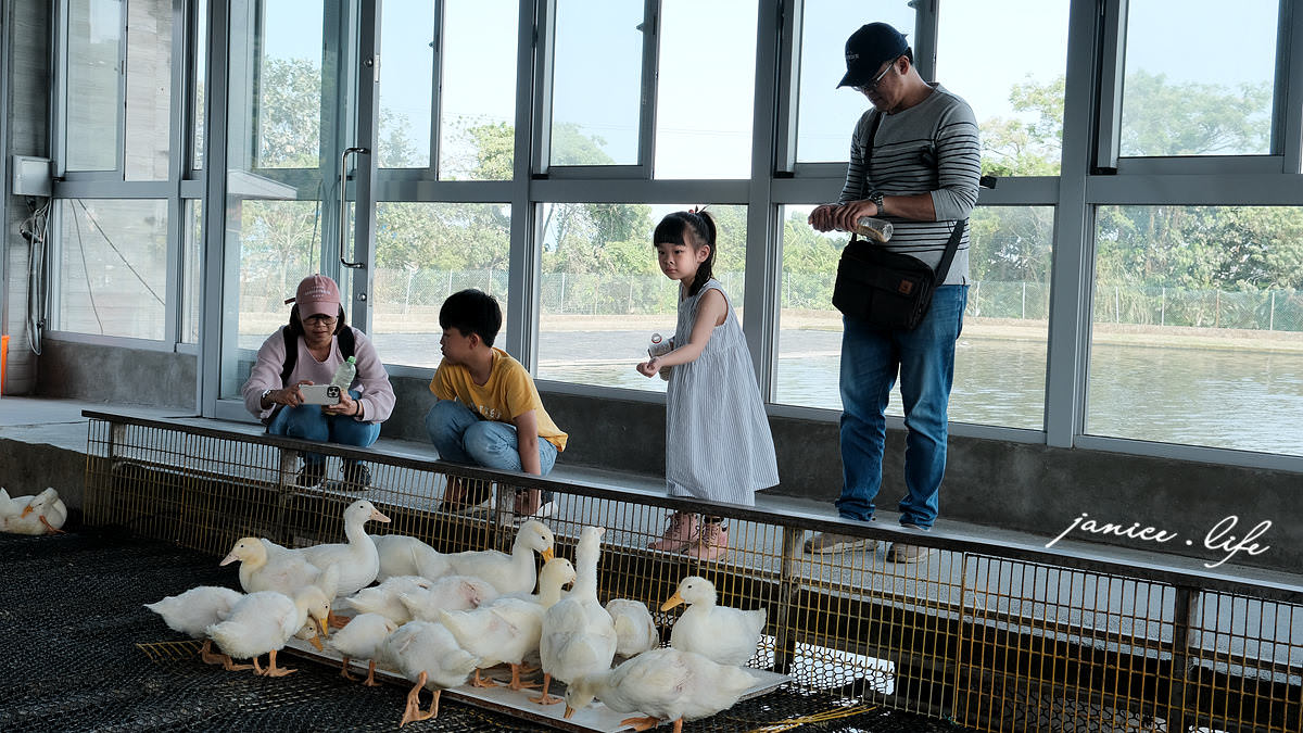 宜蘭景點 宜蘭親子景點 甲鳥園 宜蘭礁溪 礁溪景點 礁溪旅遊 潔妮食旅生活 宜蘭景點推薦 礁溪景點推薦 親子景點推薦 甲鳥園門票 甲鳥園交通 甲鳥園停車