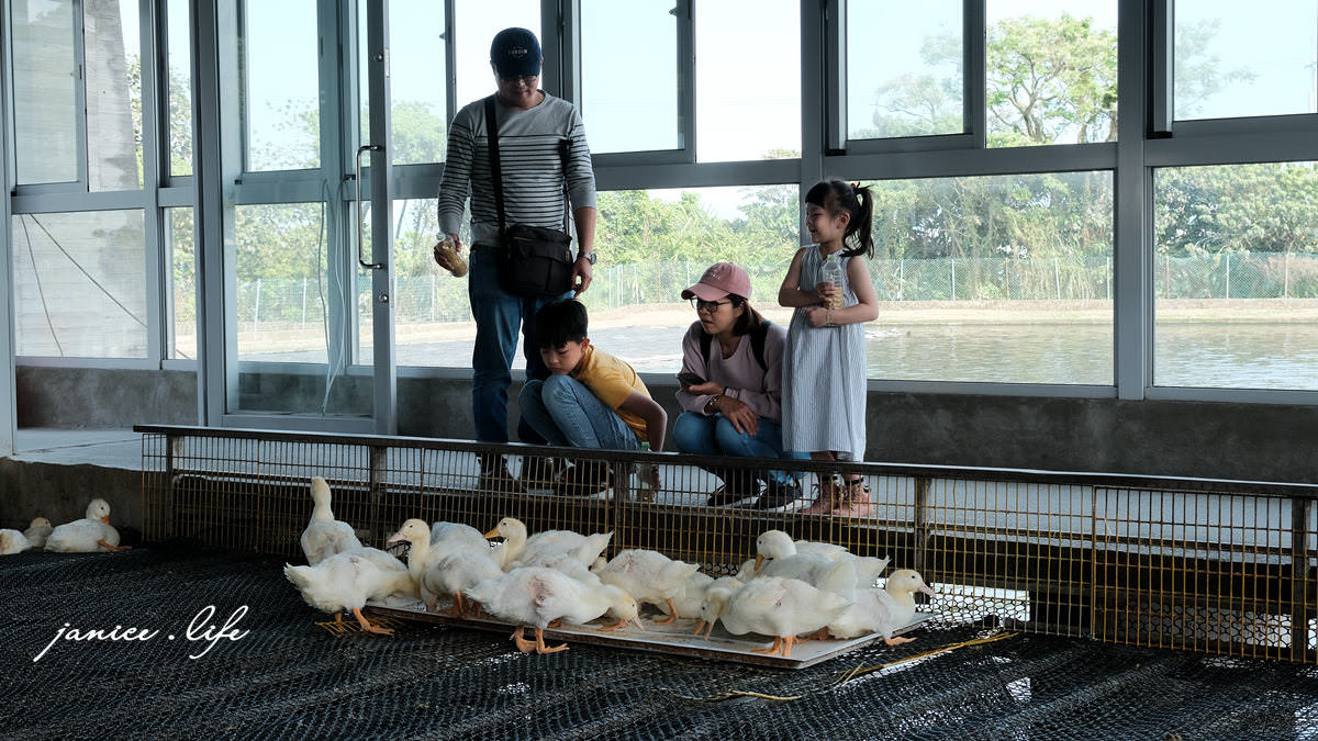 宜蘭景點 宜蘭親子景點 甲鳥園 宜蘭礁溪 礁溪景點 礁溪旅遊 潔妮食旅生活 宜蘭景點推薦 礁溪景點推薦 親子景點推薦 甲鳥園門票 甲鳥園交通 甲鳥園停車