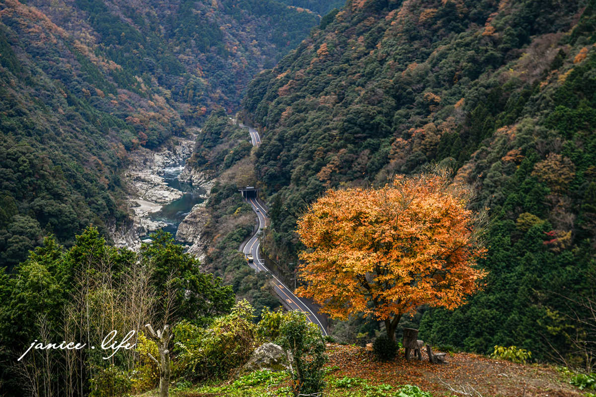 四國德島景點 德島賞楓 小步危展望台 小步危峽谷 四國自由行 四國景點 四國自駕 日本自由行 日本景點 潔妮食旅生活