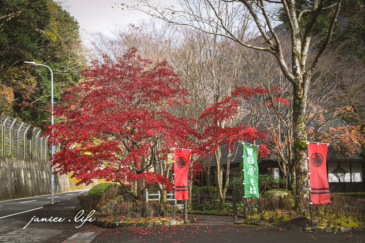 四國德島景點 德島賞楓 祖谷蕎麥麵 紅葉亭 四國自由行 四國景點 四國自駕 日本自由行 日本景點 潔妮食旅生活