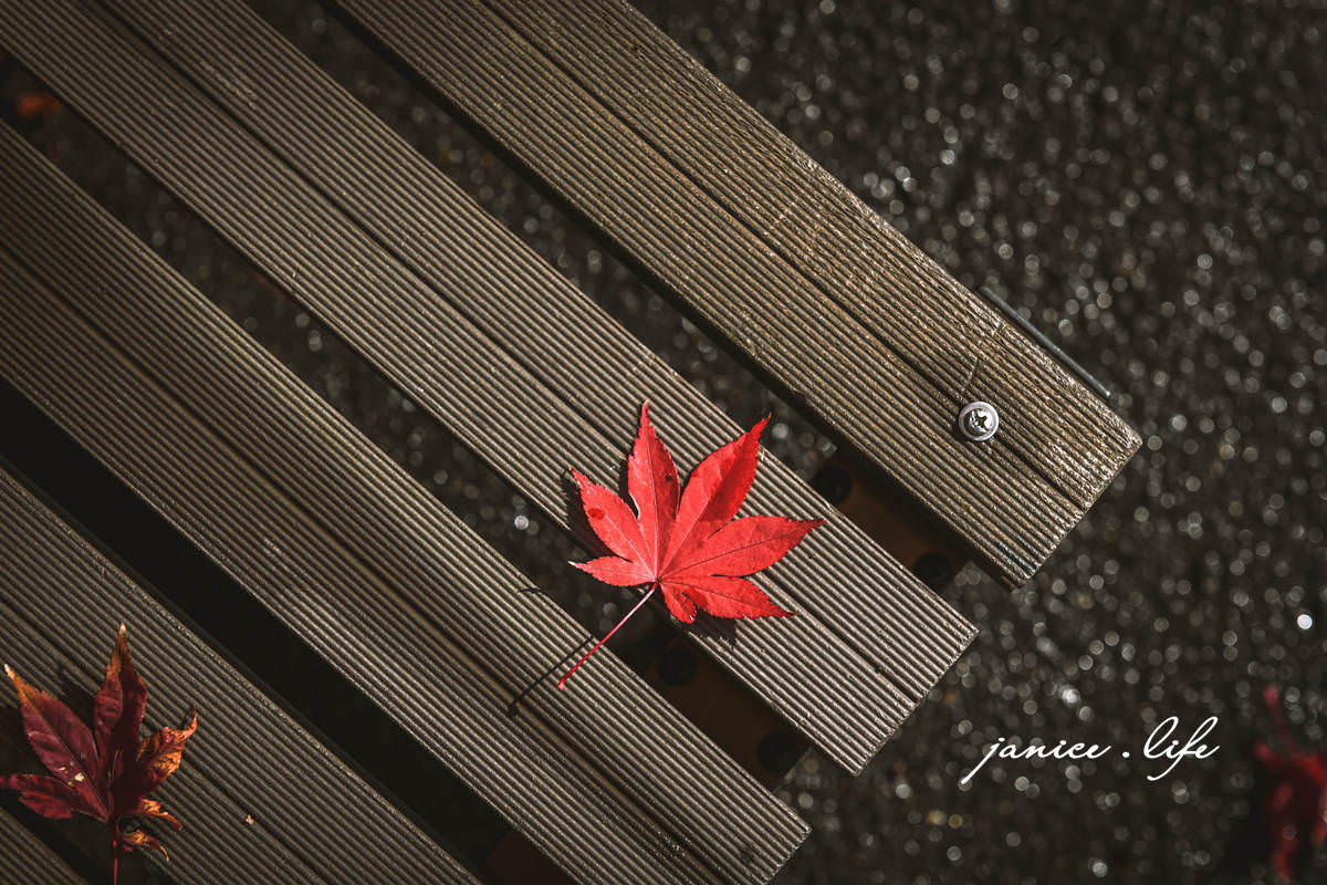四國德島景點 德島賞楓 祖谷蕎麥麵 紅葉亭 四國自由行 四國景點 四國自駕 日本自由行 日本景點 潔妮食旅生活