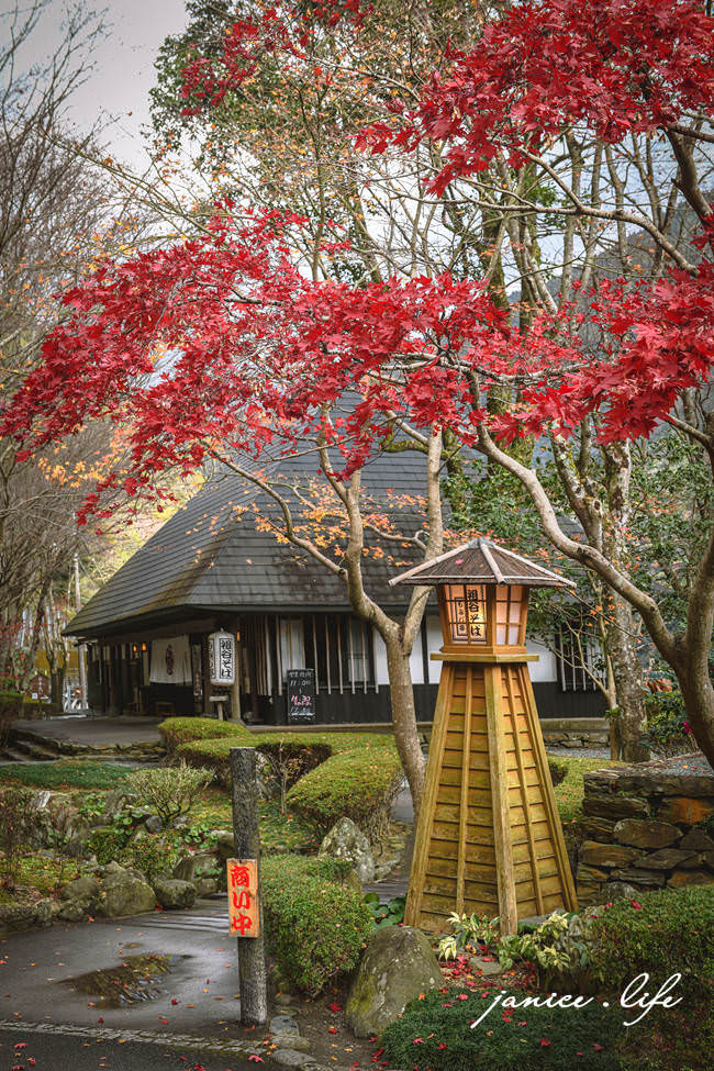 四國德島景點 德島賞楓 祖谷蕎麥麵 紅葉亭 四國自由行 四國景點 四國自駕 日本自由行 日本景點 潔妮食旅生活