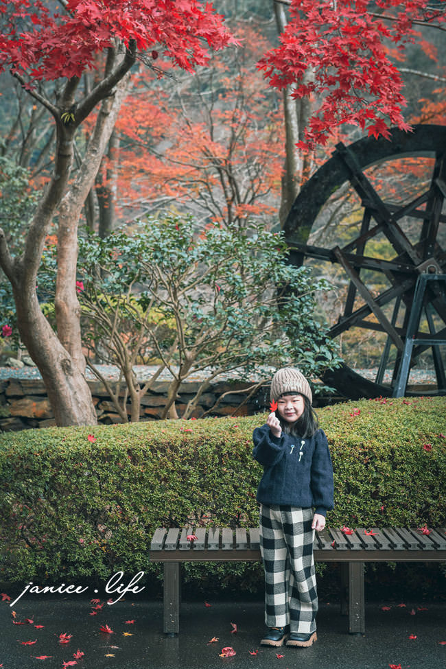 四國德島景點 德島賞楓 祖谷蕎麥麵 紅葉亭 四國自由行 四國景點 四國自駕 日本自由行 日本景點 潔妮食旅生活