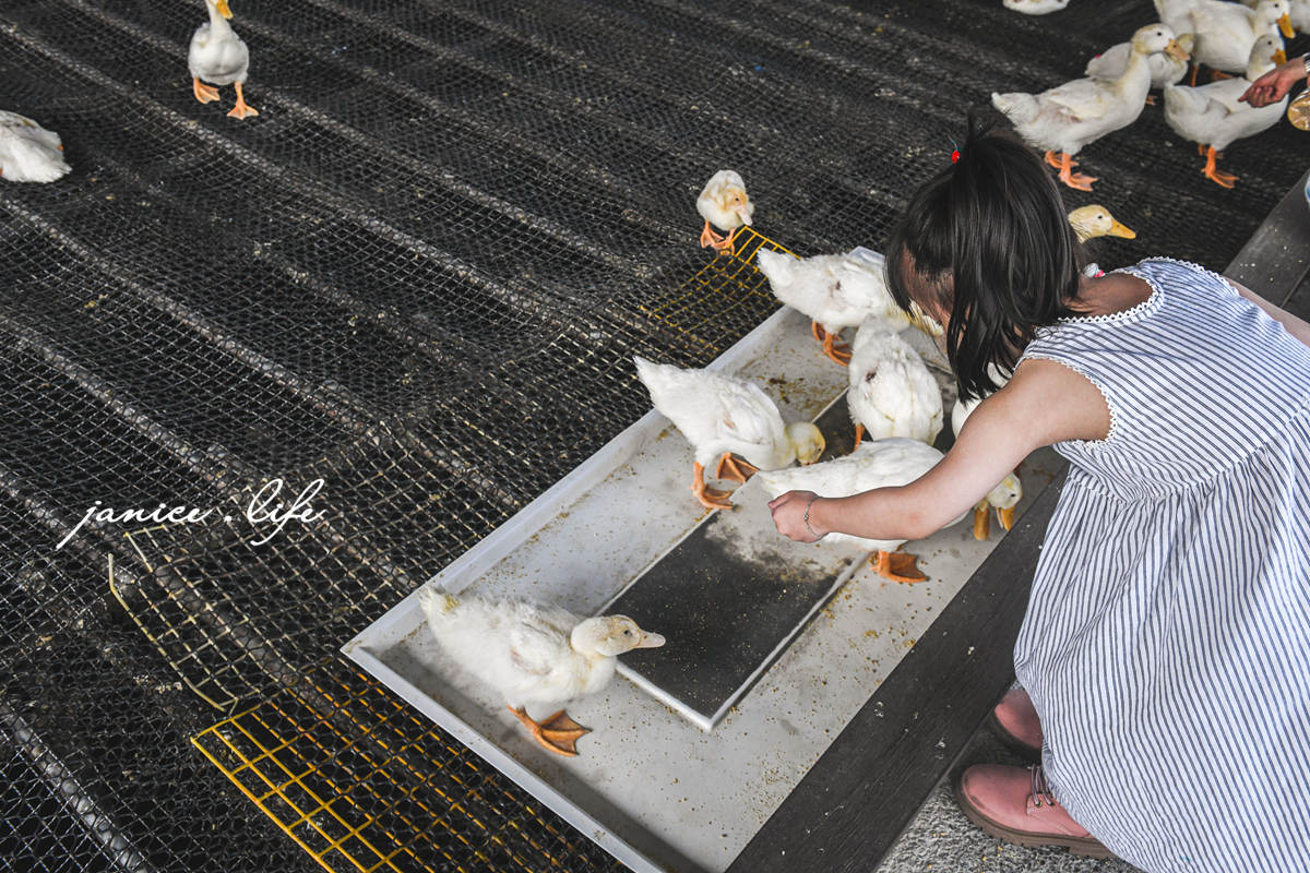 宜蘭景點 宜蘭親子景點 甲鳥園 宜蘭礁溪 礁溪景點 礁溪旅遊 潔妮食旅生活 宜蘭景點推薦 礁溪景點推薦 親子景點推薦 甲鳥園門票 甲鳥園交通 甲鳥園停車