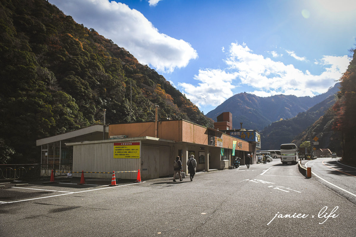 四國德島景點 大步危峽觀光遊覽船 大步危峽 日本自由行 四國自由行 四國自駕 日本旅遊 四國旅遊 潔妮食旅生活