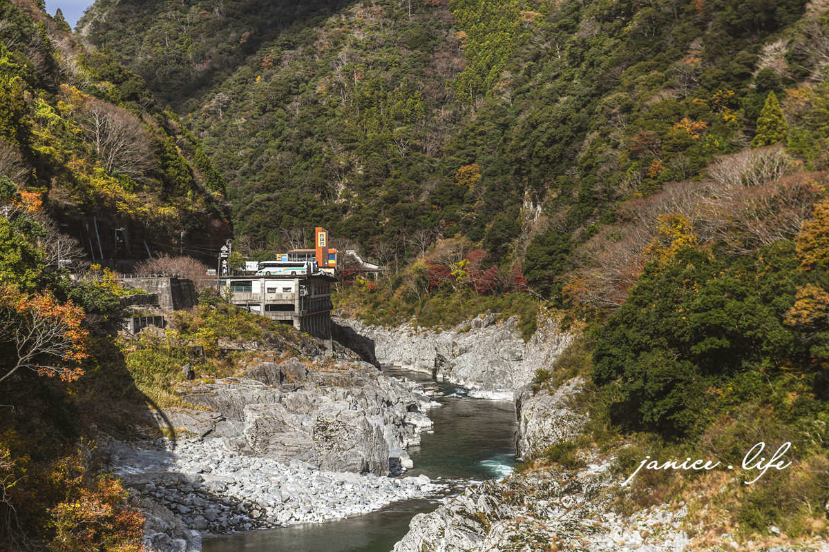 Cafe＆ジビエ Cafe & Jibie 祖谷地區 野味漢堡 日本自由行 四國自由行 四國自駕 四國德島美食 徳島県三好市山城町西宇1553-1 大歩危美食 大歩危餐廳 潔妮食旅生活 Cafe & Jibie菜單