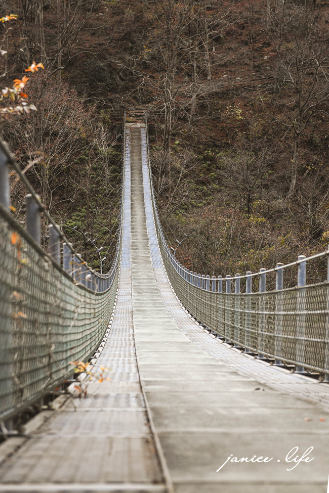 四國德島景點 龍宮崖公園 日本自由行 日本旅遊 日本景點 吊橋 森林 潔妮食旅生活 四國自駕
