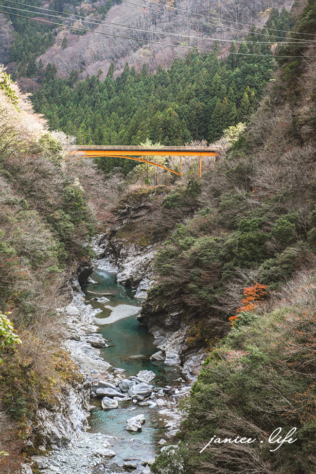 四國德島景點 龍宮崖公園 日本自由行 日本旅遊 日本景點 吊橋 森林 潔妮食旅生活 四國自駕
