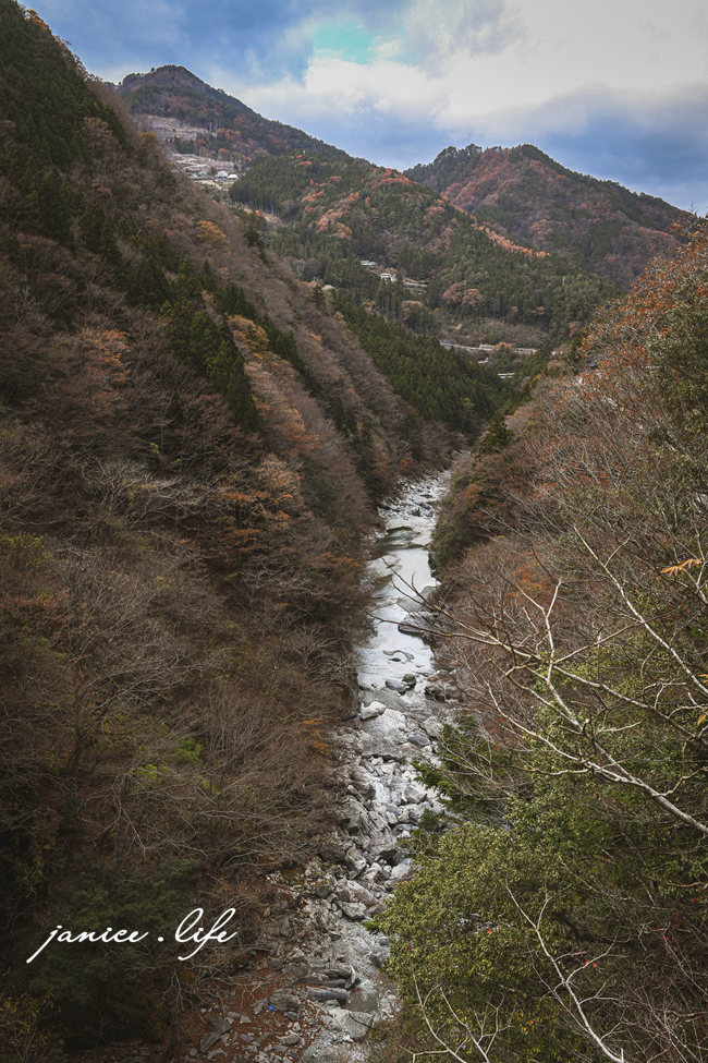 四國德島景點 龍宮崖公園 日本自由行 日本旅遊 日本景點 吊橋 森林 潔妮食旅生活 四國自駕