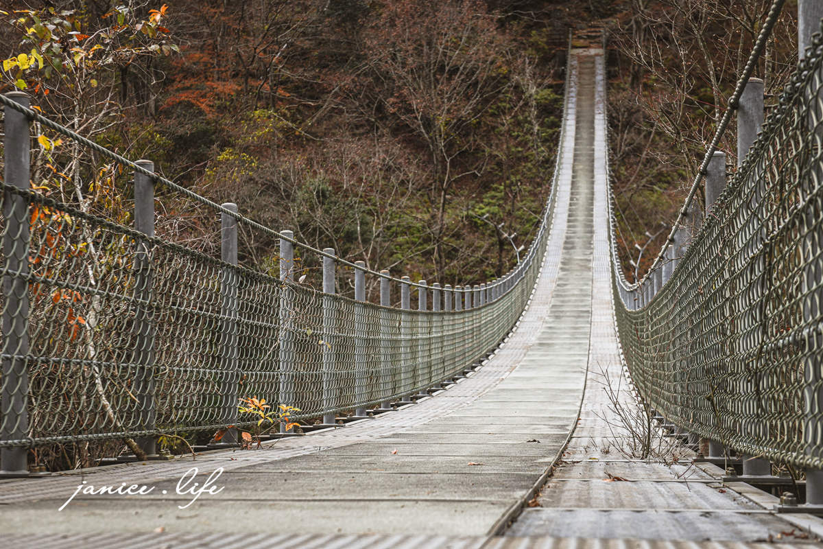 四國德島景點 龍宮崖公園 日本自由行 日本旅遊 日本景點 吊橋 森林 潔妮食旅生活 四國自駕