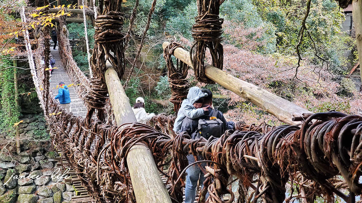 四國德島景點 四國自由行 日本自由行 四國自駕 祖谷藤蔓橋 祖谷藤橋 日本三大奇橋 德島景點 潔妮食旅生活 藤蔓橋夢舞台かずら橋夢舞台