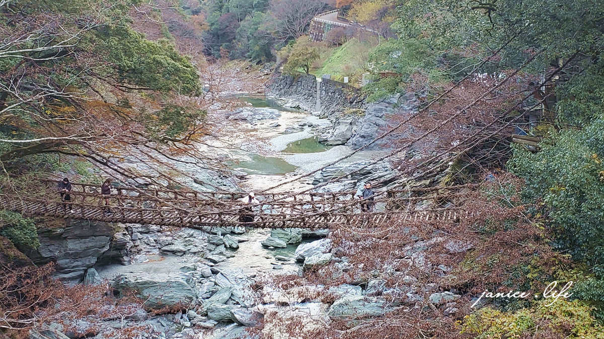 四國德島景點 四國自由行 日本自由行 四國自駕 祖谷藤蔓橋 祖谷藤橋 日本三大奇橋 德島景點 潔妮食旅生活 藤蔓橋夢舞台かずら橋夢舞台