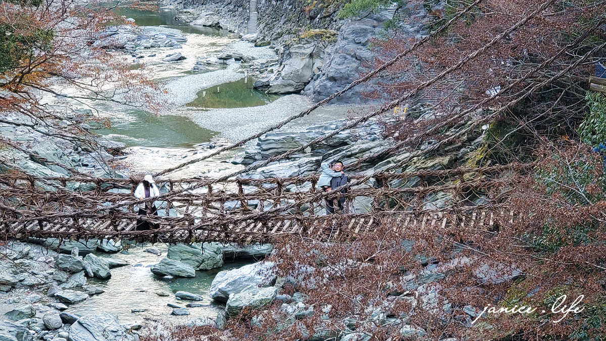 四國德島景點 四國自由行 日本自由行 四國自駕 祖谷藤蔓橋 祖谷藤橋 日本三大奇橋 德島景點 潔妮食旅生活 藤蔓橋夢舞台かずら橋夢舞台