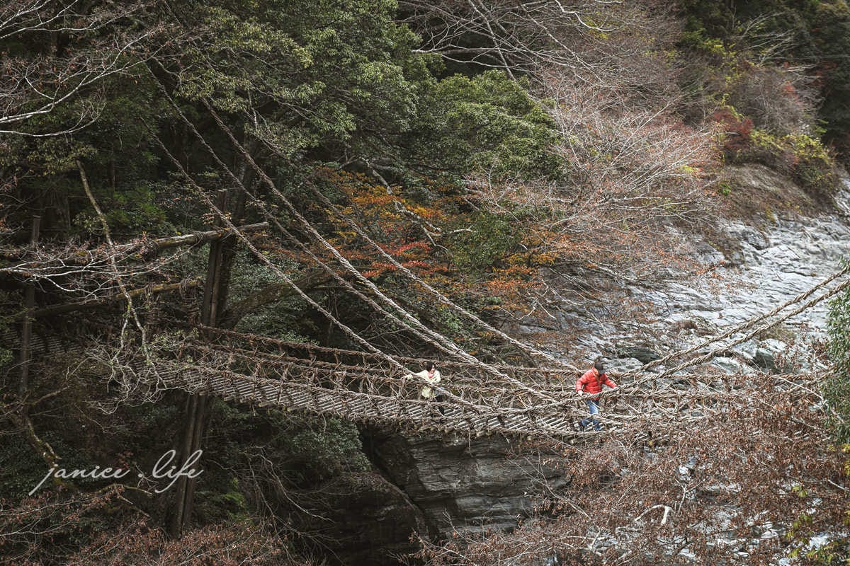 四國德島景點 四國自由行 日本自由行 四國自駕 祖谷藤蔓橋 祖谷藤橋 日本三大奇橋 德島景點 潔妮食旅生活 藤蔓橋夢舞台かずら橋夢舞台