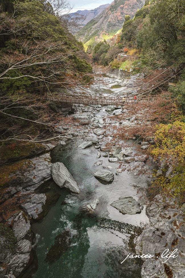 四國德島景點|祖谷藤蔓橋|讓人忍不住心跳加速.日本三大奇橋之一 - 第11張圖 四國德島景點 四國自由行 日本自由行 四國自駕 祖谷藤蔓橋 祖谷藤橋 日本三大奇橋 德島景點 潔妮食旅生活 藤蔓橋夢舞台かずら橋夢舞台