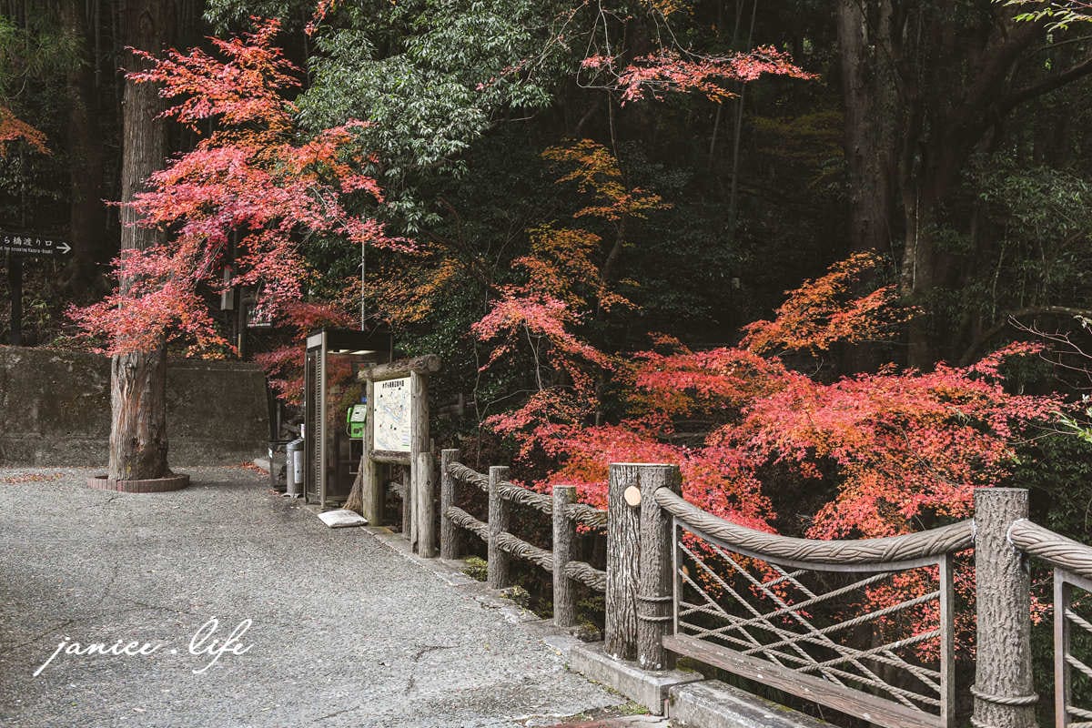 四國德島景點 四國自由行 日本自由行 四國自駕 祖谷藤蔓橋 祖谷藤橋 日本三大奇橋 德島景點 潔妮食旅生活 藤蔓橋夢舞台かずら橋夢舞台
