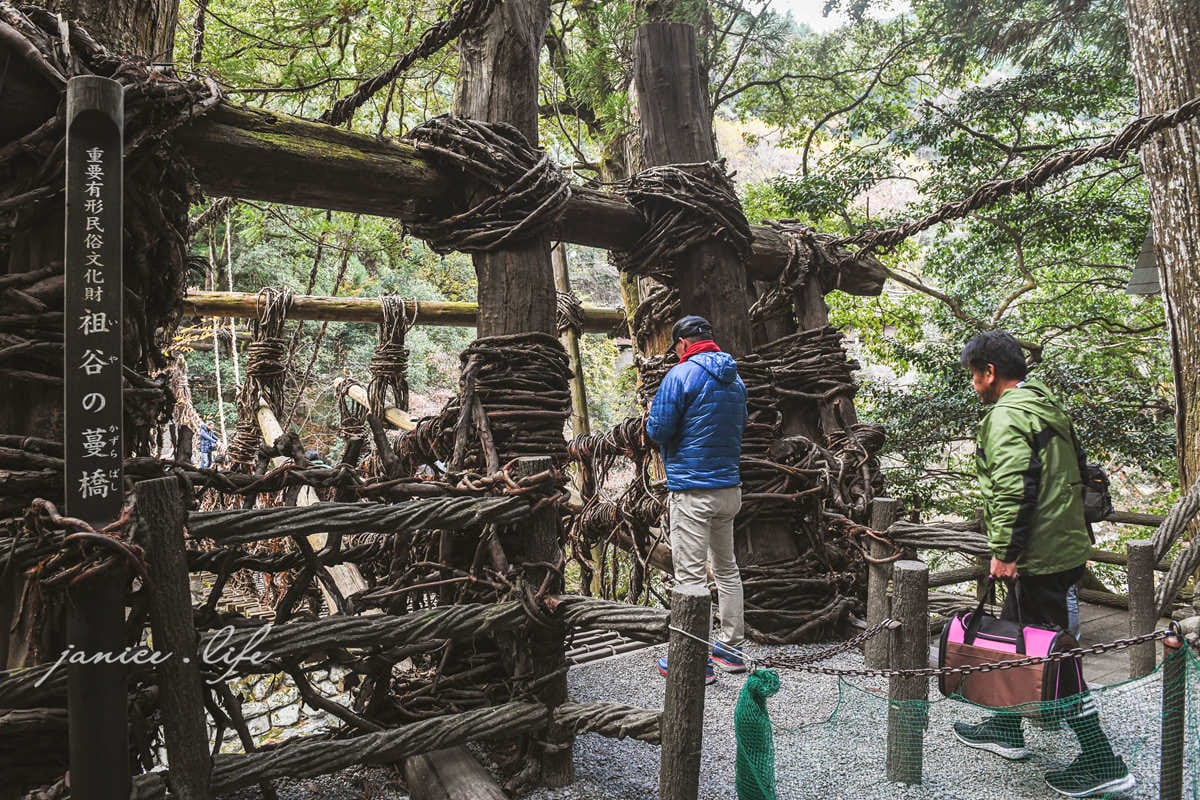 四國德島景點 四國自由行 日本自由行 四國自駕 祖谷藤蔓橋 祖谷藤橋 日本三大奇橋 德島景點 潔妮食旅生活 藤蔓橋夢舞台かずら橋夢舞台