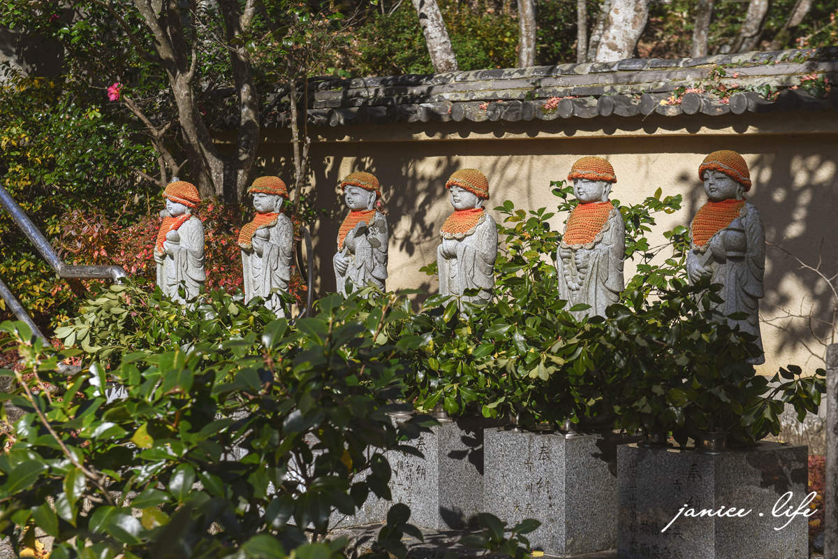 四國德島景點|四国別格1番.大山寺|閃耀的大銀杏樹.金黃色地毯 - 第11張圖 四國德島景點 四国別格 大山寺 四国別格1番 銀杏 德島銀杏 四國銀杏 四國自由行 四國自駕 日本自由行 潔妮食旅生活