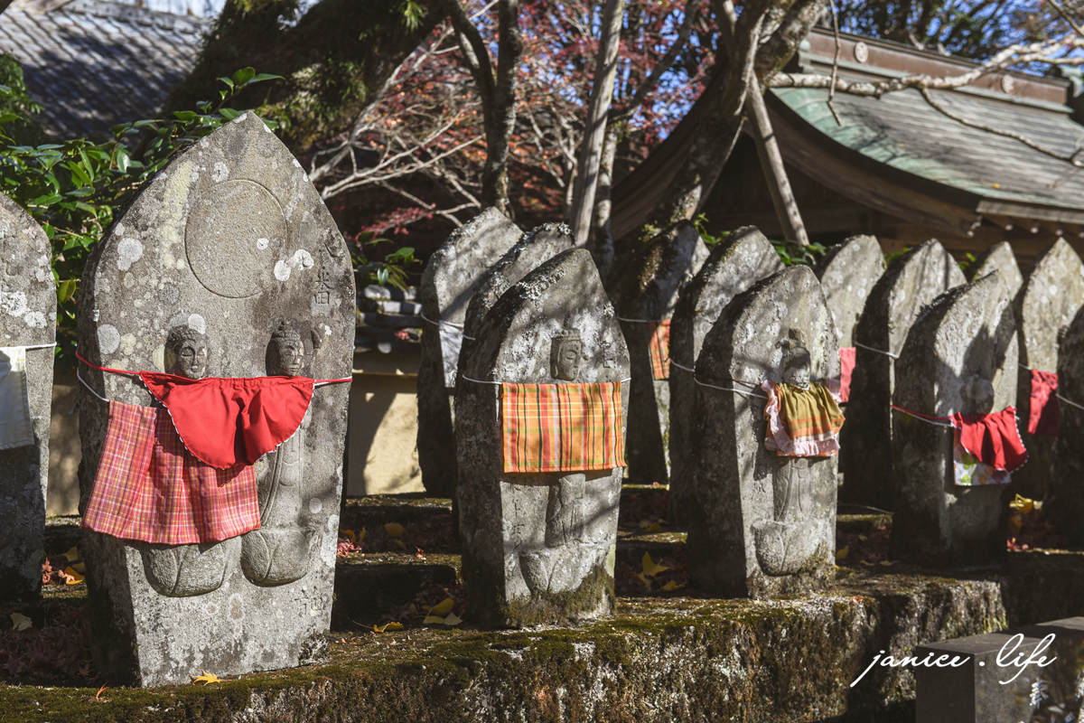 四國德島景點|四国別格1番.大山寺|閃耀的大銀杏樹.金黃色地毯 - 第12張圖 四國德島景點 四国別格 大山寺 四国別格1番 銀杏 德島銀杏 四國銀杏 四國自由行 四國自駕 日本自由行 潔妮食旅生活