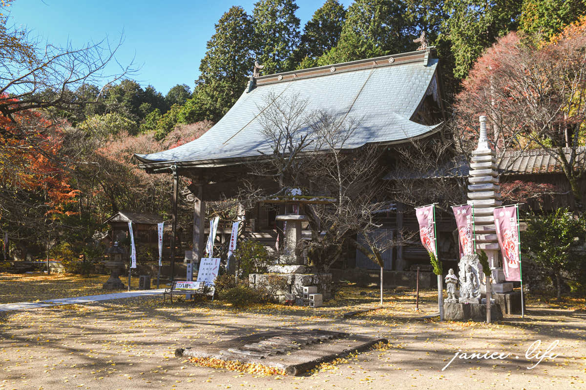 四國德島景點 四国別格 大山寺 四国別格1番 銀杏 德島銀杏 四國銀杏 四國自由行 四國自駕 日本自由行 潔妮食旅生活