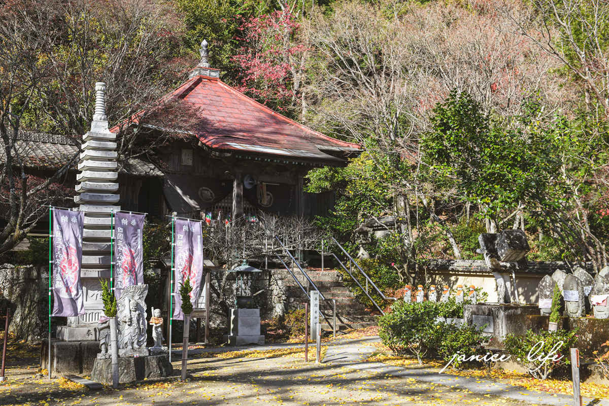 四國德島景點|四国別格1番.大山寺|閃耀的大銀杏樹.金黃色地毯 - 第14張圖 四國德島景點 四国別格 大山寺 四国別格1番 銀杏 德島銀杏 四國銀杏 四國自由行 四國自駕 日本自由行 潔妮食旅生活
