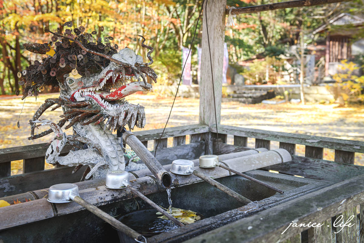 四國德島景點 四国別格 大山寺 四国別格1番 銀杏 德島銀杏 四國銀杏 四國自由行 四國自駕 日本自由行 潔妮食旅生活
