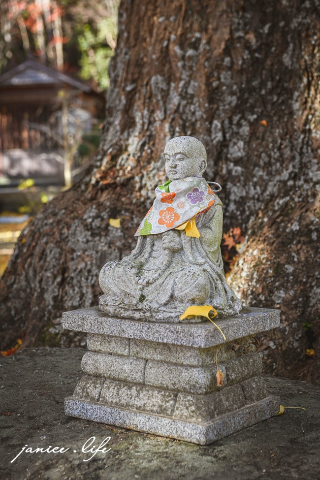 四國德島景點|四国別格1番.大山寺|閃耀的大銀杏樹.金黃色地毯 - 第13張圖 四國德島景點 四国別格 大山寺 四国別格1番 銀杏 德島銀杏 四國銀杏 四國自由行 四國自駕 日本自由行 潔妮食旅生活