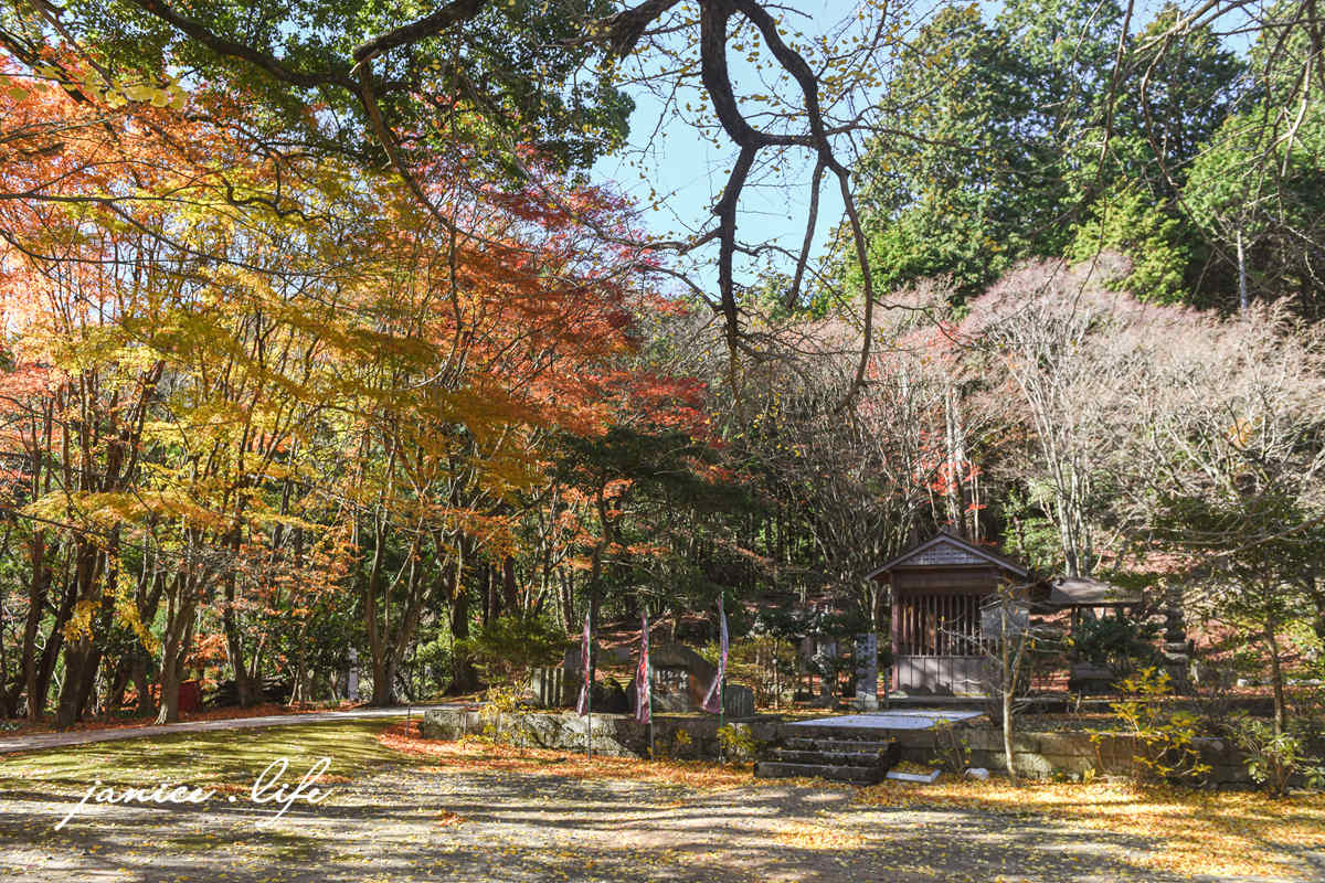 四國德島景點 四国別格 大山寺 四国別格1番 銀杏 德島銀杏 四國銀杏 四國自由行 四國自駕 日本自由行 潔妮食旅生活