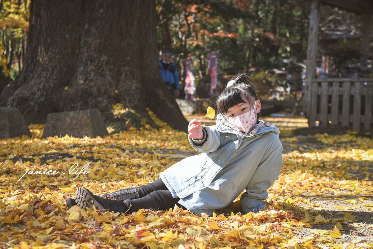 四國德島景點 四国別格 大山寺 四国別格1番 銀杏 德島銀杏 四國銀杏 四國自由行 四國自駕 日本自由行 潔妮食旅生活