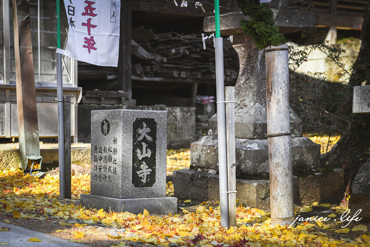 四國德島景點 四国別格 大山寺 四国別格1番 銀杏 德島銀杏 四國銀杏 四國自由行 四國自駕 日本自由行 潔妮食旅生活