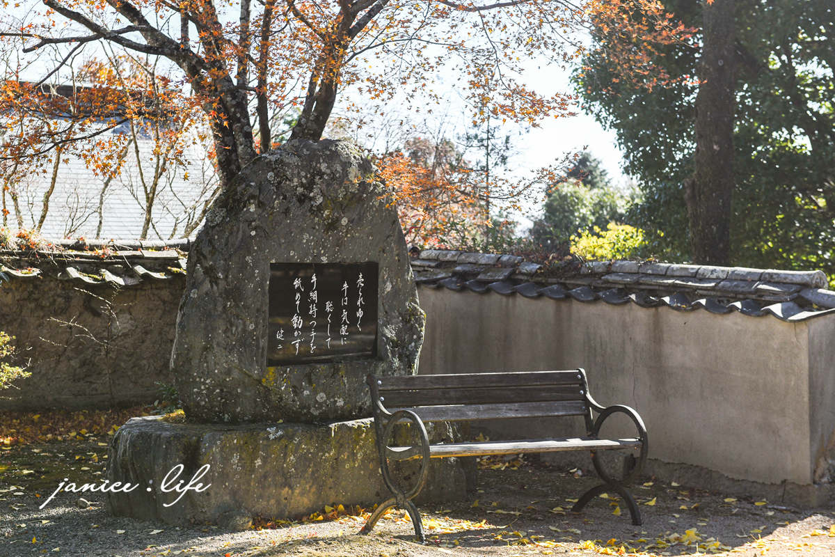 四國德島景點|四国別格1番.大山寺|閃耀的大銀杏樹.金黃色地毯 - 第18張圖 四國德島景點 四国別格 大山寺 四国別格1番 銀杏 德島銀杏 四國銀杏 四國自由行 四國自駕 日本自由行 潔妮食旅生活