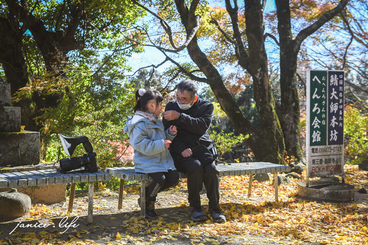 四國德島景點 四国別格 大山寺 四国別格1番 銀杏 德島銀杏 四國銀杏 四國自由行 四國自駕 日本自由行 潔妮食旅生活