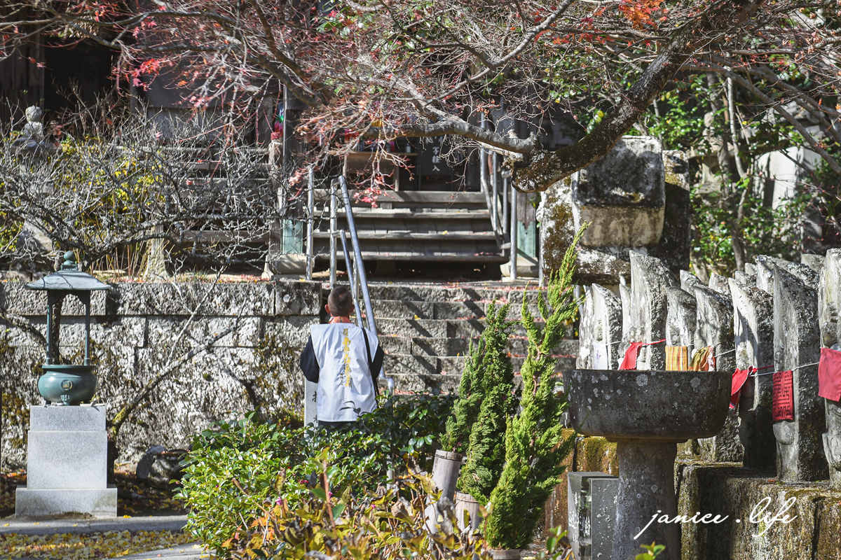 四國德島景點 四国別格 大山寺 四国別格1番 銀杏 德島銀杏 四國銀杏 四國自由行 四國自駕 日本自由行 潔妮食旅生活