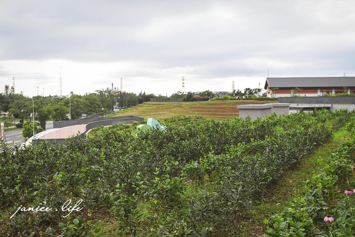 臺灣客家茶文化館 桃園龍潭景點 飲茶文化 高原市集 阿膨遊戲室 桃園室內景點 雨天景點推薦 桃園親子景點 潔妮食旅生活