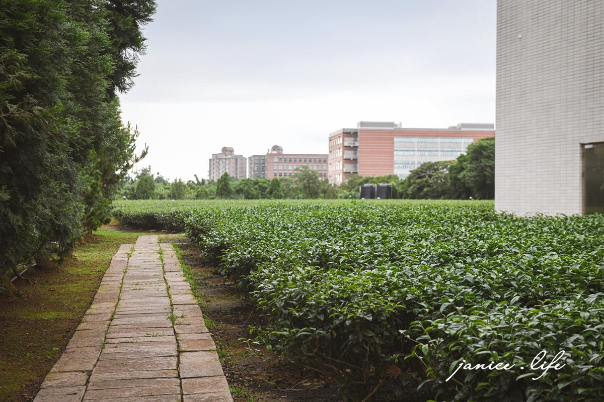 臺灣客家茶文化館 桃園龍潭景點 飲茶文化 高原市集 阿膨遊戲室 桃園室內景點 雨天景點推薦 桃園親子景點 潔妮食旅生活